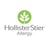 HollisterStier Allergy Logo